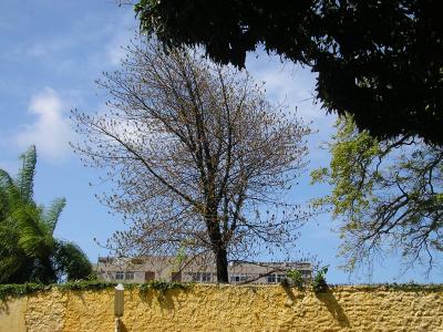 ebe-setembro-de-2007-029